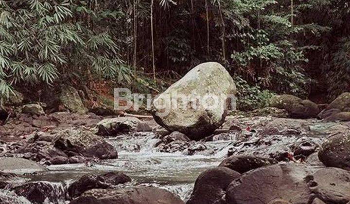 Tanah di Samping Hot Spring Yeh Panes Tabanan 2