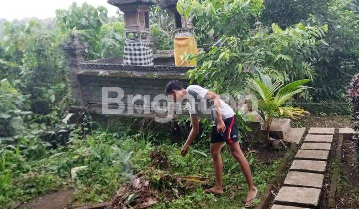 Tanah Dekat Wisata air Panas Yeh Panes Tabanan 2