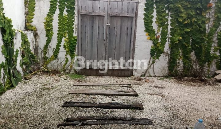 Rumah Di Canggu Berawa Butuh Renovasi Dijual Cepat Rumah Di Canggu Berawa Butuh Renovasi Dijual Cepat