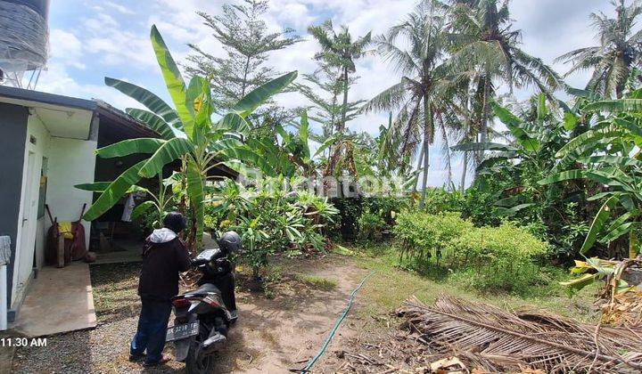 kan Tanah Pasekan Kediri Tabanan 1