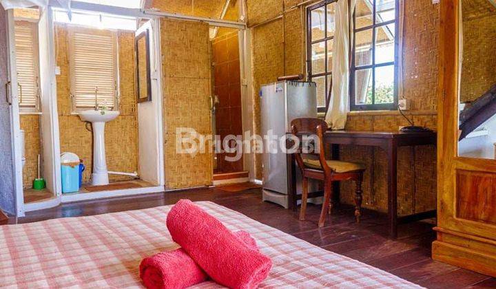 rumah kost bulanan Canggu 6 juta monthly 1BR 2