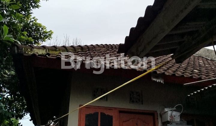 Bali House in Penarungan Mengwi North Kuta Bali House in Penarungan Mengwi North Kuta