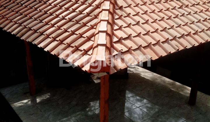 villa cantik di ungadan dekat Gwk Bali 