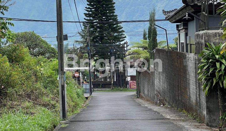 lahan 900m2 di bedugul 1