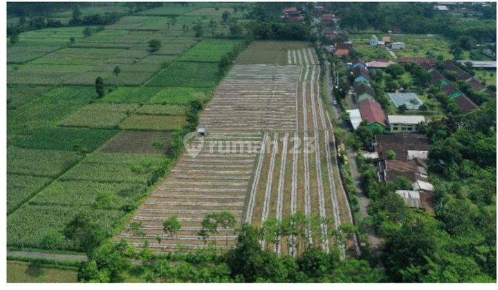 Tanah di Tempeh Lumajang 1