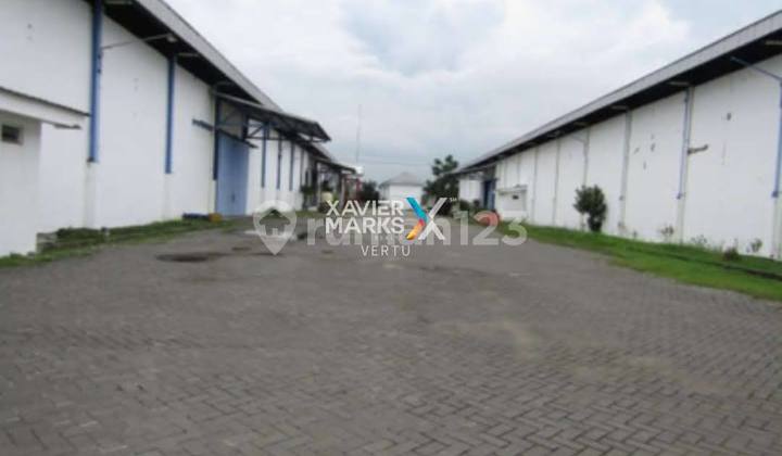 Former factory, good and strategic location in Lengkong, Nganjuk.