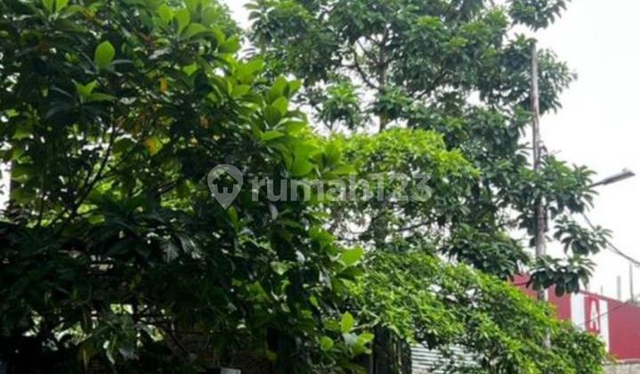 Luxury House in Kemang, Jakarta with Strategic Access