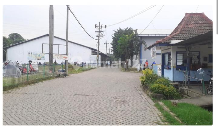 Ex-Factory Warehouse in Driyorejo, Gresik, East Java