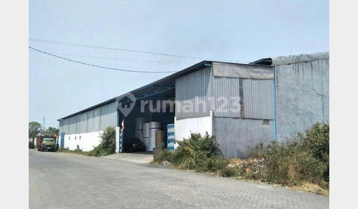 Gudang Murah di Kalianak, Strategis di Surabaya Gudang Murah di Kalianak, Strategis di Surabaya