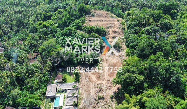 Tanah Komersial di Karangasem Bali Cocok dibuat Usaha Tanah Komersial di Karangasem Bali Cocok dibuat Usaha