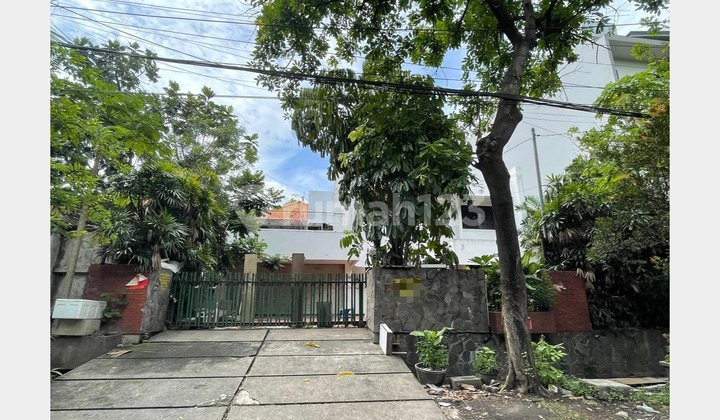 Rumah Murah di Pusat Kota Jl Progo, Dekat Taman Bungkul Surabaya Rumah Murah di Pusat Kota Jl Progo, Dekat Taman Bungkul Surabaya