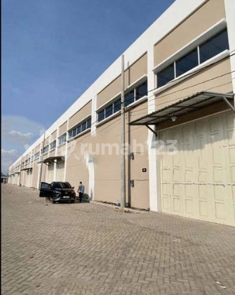 Warehouse for Rent in Driyorejo, Surabaya, 145M, Near Sumo Toll Road, Industrial Permit Available. Warehouse for Rent in Driyorejo, Surabaya, 145M, Near Sumo Toll Road, Industrial Permit Available.