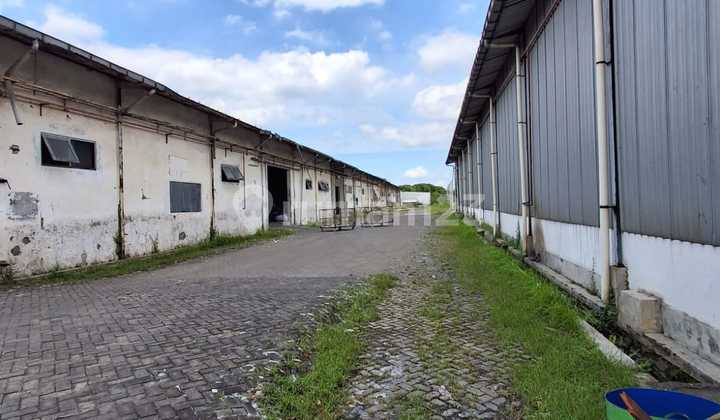 Land &amp; Building for Sale Raya Driyorejo 2.5Million/M2 Industrial Permit Near Surabaya Toll Road