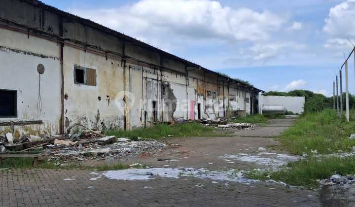 Warehouse Rental in Driyorejo 30K/M2/Month Industrial Permit Near Surabaya 40Ft Container Access Warehouse Rental in Driyorejo 30K/M2/Month Industrial Permit Near Surabaya 40Ft Container Access