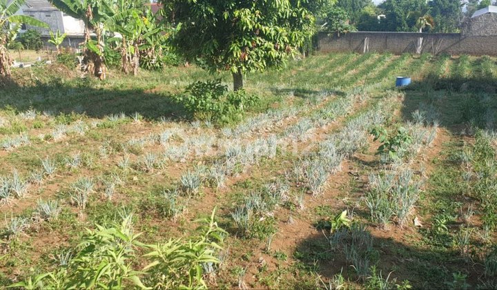 Murah! Tanah Siap Bangun Katumiri Residence Cihanjuang Bandung Murah! Tanah Siap Bangun Katumiri Residence Cihanjuang Bandung