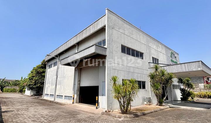 Bangunan Gudang Pabrik Berbek Industri Dekat Rungkut Industri Mer Bangunan Gudang Pabrik Berbek Industri Dekat Rungkut Industri Mer