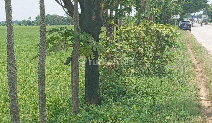 Dijual Tanah Pinggir Jalan Subang Pamanukan  2
