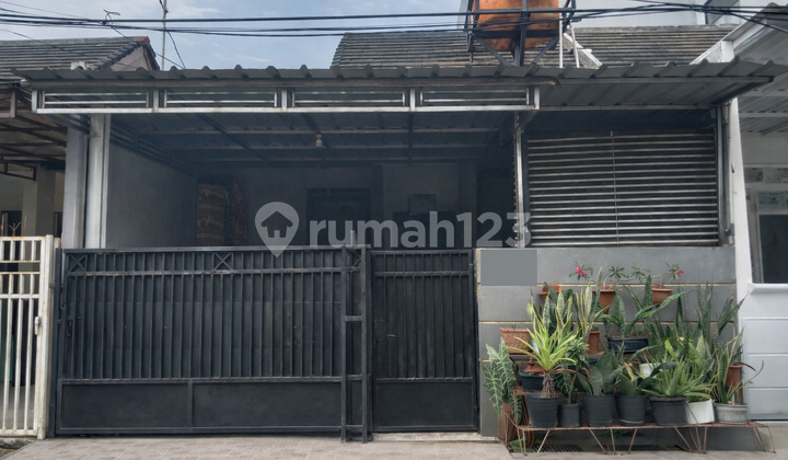 Jual Cepat Rumah Cluster Angelonia Medang - SHM, Dekat Scientia Square Park