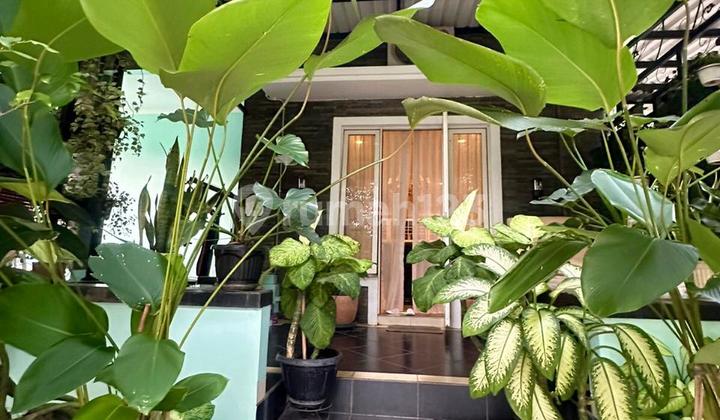 Dijual Rumah Hoek Cluster Aquamarine Phg Gading Serpong - LT 292 LB 450, 6 KT, SHM Dijual Rumah Hoek Cluster Aquamarine Phg Gading Serpong - LT 292 LB 450, 6 KT, SHM