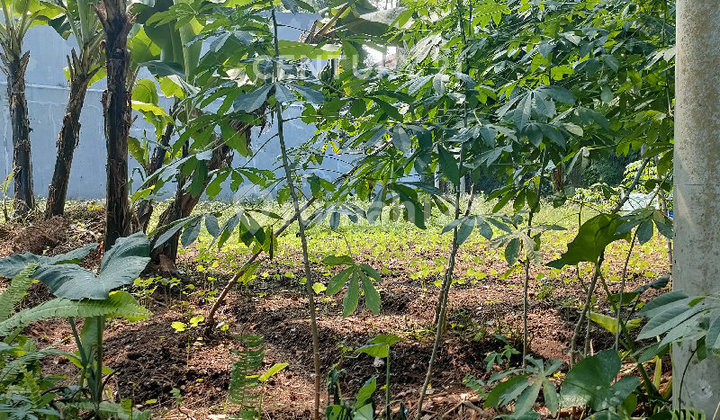 Kavling Posisi Hook Lm 24 Sayap Gegerkalong Kavling Posisi Hook Lm 24 Sayap Gegerkalong