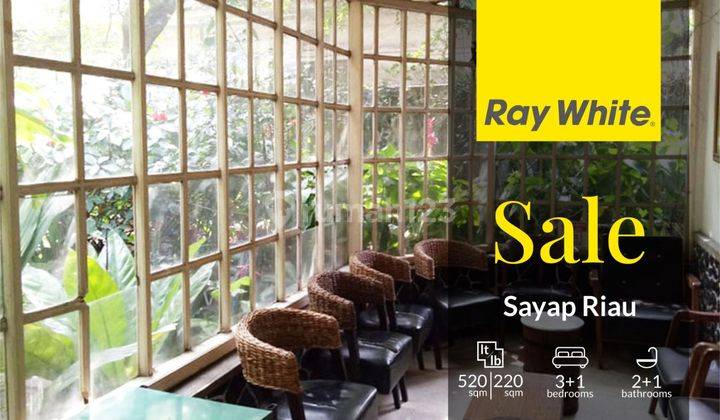 Rumah Tua Cocok Buat Cafe Kantor Dll Sayap Jawa Merdeka Riau 1