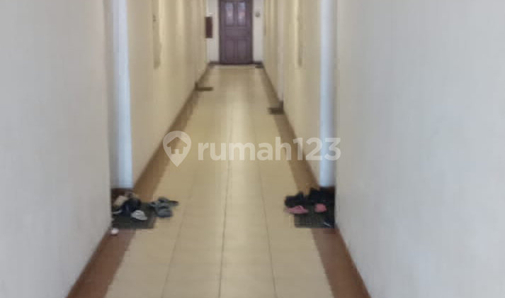 Apartemen Mediternia Kelapa Gading 2 Br 