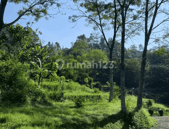 Tanah  Komplek Dago Kirana Dalem Wangi Dago Atas Bandung 2