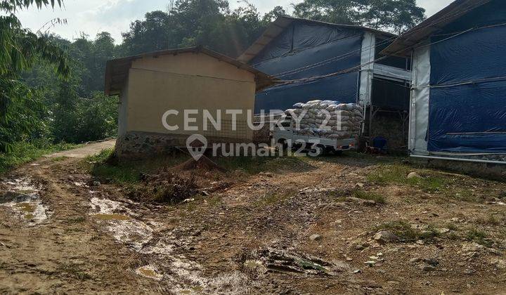 Tanah Bangunan Kandang Ayam Di Sukajaya Jonggol Bogor  Lt 6300 2