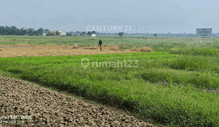 Dijual Tanah Di KP Kedaung Babelan Bekasi 2