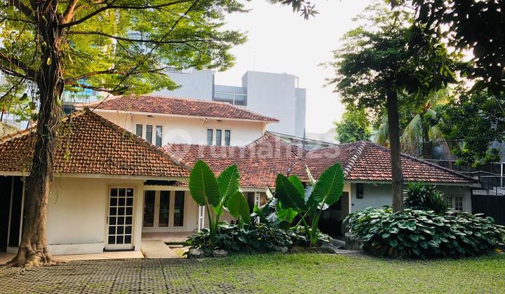 Serene House in Mampang Prapatan, South Jakarta