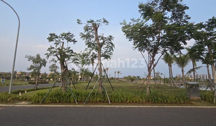 Exclusive Plots in Pasir Putih Pik 2
