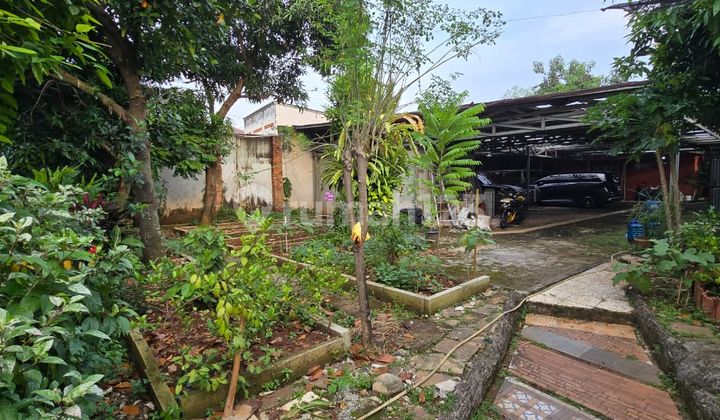 Tanah Siap Bangun Di Kalibata Tengah Tanah Siap Bangun Di Kalibata Tengah