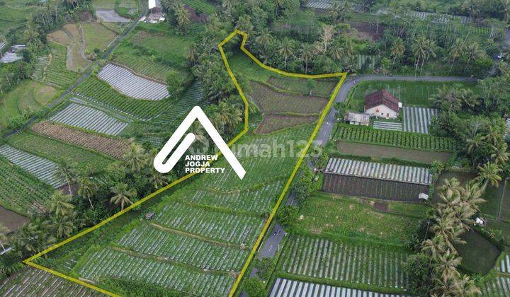 Jual Tanah View Sawah Gunung Dikelilingi Parit Muka Lebar 2