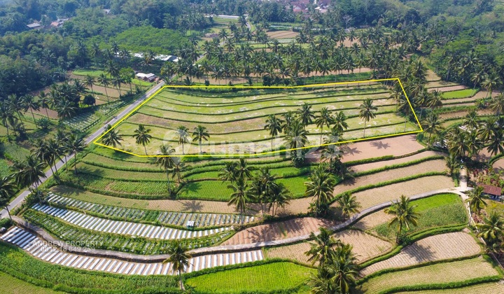Tanah Jalur Alternative Secang Kopeng Mangunrejo 1
