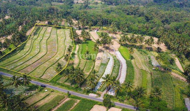 Tanah Jalur Alternative Secang Kopeng Mangunrejo 2