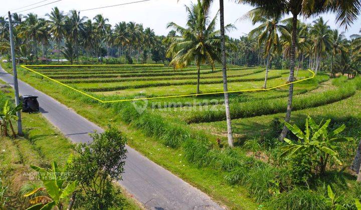 Tanah Jalur Alternative Secang Kopeng Mangunrejo 3