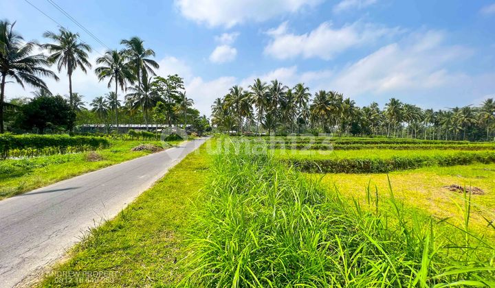 Tanah Jalur Alternative Secang Kopeng Mangunrejo 6