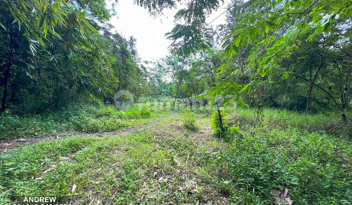 Jual Tanah Pinggir Kali Progo Nanggulan Cocok Untuk Wisata 5