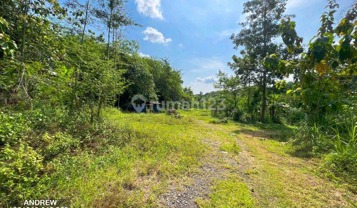 Jual Tanah Pinggir Kali Progo Nanggulan Cocok Untuk Wisata 6