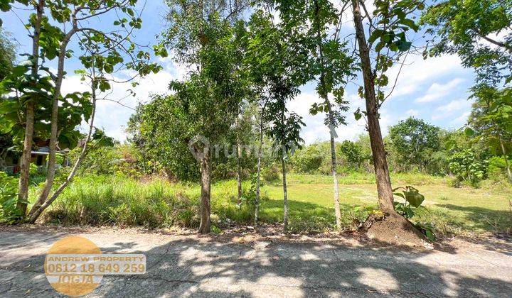 Jual Tanah Sentolo Kawasan Industri Salamrejo 6