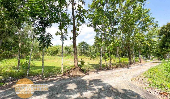 Jual Tanah Sentolo Kawasan Industri Salamrejo 7
