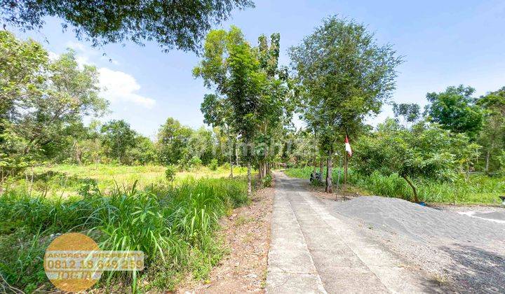 Jual Tanah Sentolo Kawasan Industri Salamrejo 8