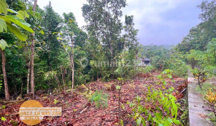 Jual Tanah Sedayu Bantul Daerah Sedang Berkembang 4