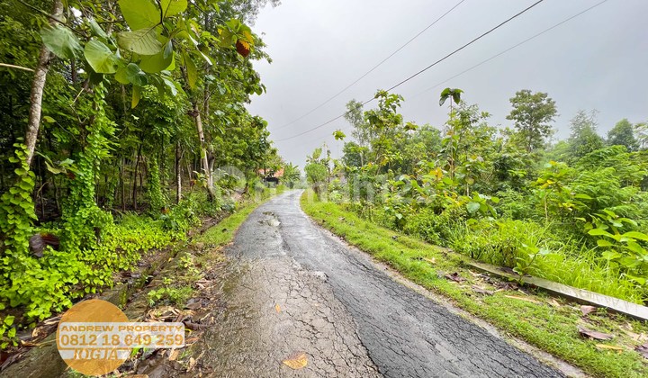 Jual Tanah Sedayu Bantul Daerah Sedang Berkembang 6