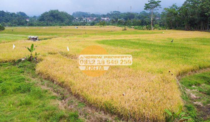 Tanah Kedu Temanggung Harga Bu 2