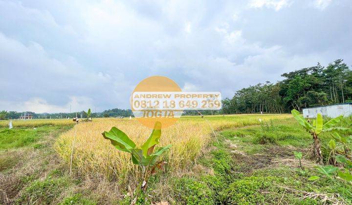Tanah Kedu Temanggung Harga Bu 3
