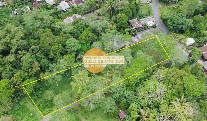 Jual Tanah Pekarangan Pakem Boyong Lokasi Dingin Sejuk Asri 2