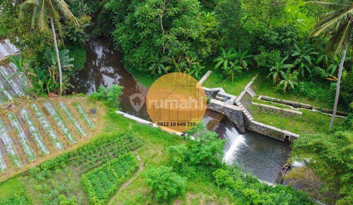 Jual Tanah Pinggir Sungai Jakal Km 12,5 Mangku Jalan 2