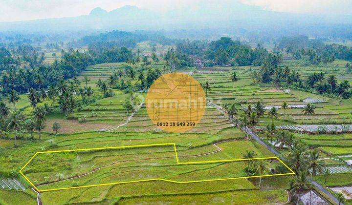 Jual Tanah View Gunung Jogja Cangkringan Akses Jalan Aspal 1