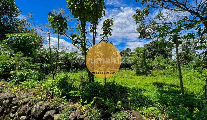 Jual Tanah Pekarangan Turi Bangunkerto Akses Strategis 3